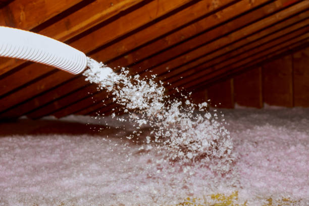 Best Wall Insulation Contractor  in Dayton, NV