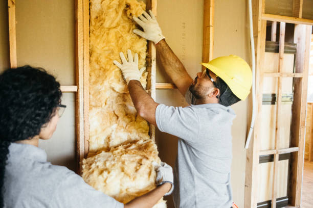 Best Commercial Insulation Contractor  in Dayton, NV
