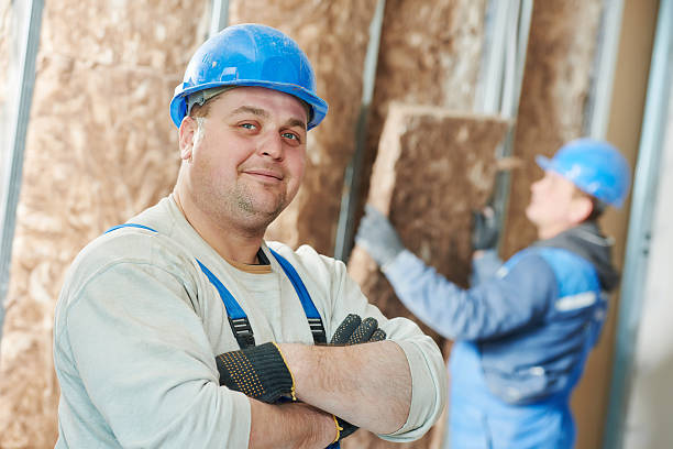 Professional Insulation Contractor in Dayton, NV